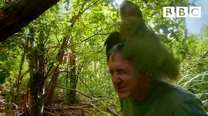 David Parrot Photo 13