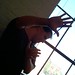 Scott Shealy Photo 21