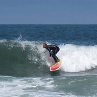 Andrew Langston Photo 10