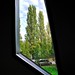 David Angulo Photo 44