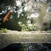 Jacob Ripple Photo 13
