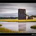 Kerry Small Photo 22