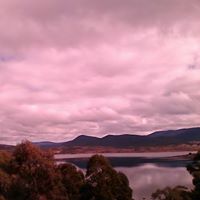 Tim Spicer Photo 6