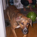 Buddy Benson Photo 21
