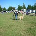Sue Chance Photo 28