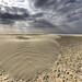 Daniel Eiland Photo 16