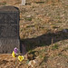 Maria Beck Photo 41
