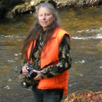 Robin Cobb Photo 2