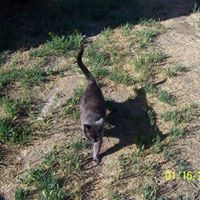 Patrick Lumpkin Photo 4