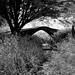 Jeffery Hunt Photo 44