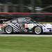 Shane Lewis Photo 48