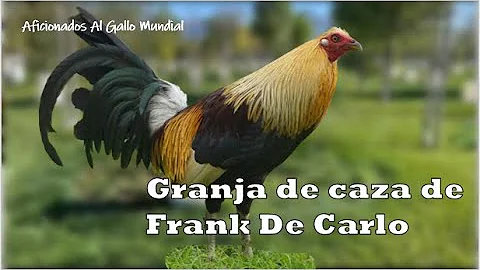 Frank Carlo Photo 35