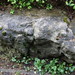 Kent Woods Photo 39