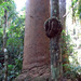 Burl Smith Photo 33