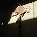 Aimee Cross Photo 38