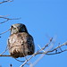 Malcolm Swan Photo 17