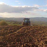 Barry Roche Photo 2
