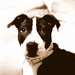 Erin Maddox Photo 33