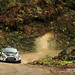 Terry Tabor Photo 25