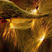 Joy Dore Photo 13