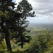Robert Roulston Photo 25