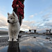 Jamie Townsend Photo 46