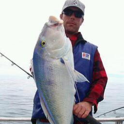 Robert Cantwell Photo 11