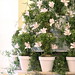 Susan Martens Photo 36