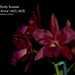 Anne Ruby Photo 22
