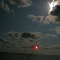 Robin Haley Photo 5