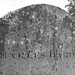 Charles Harding Photo 43