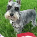Lucy Tucker Photo 41