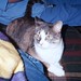 Allie Brown Photo 43