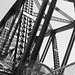 John Godden Photo 34
