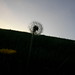 John Mclaren Photo 51