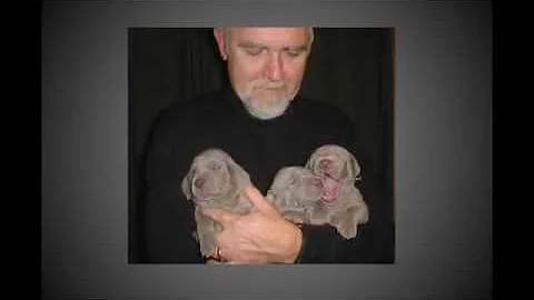 William Mellick Photo 8
