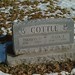 Thomas Cottle Photo 21