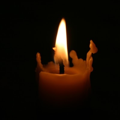 Marcus Williams Photo 19