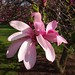 Susan Kendall Photo 38