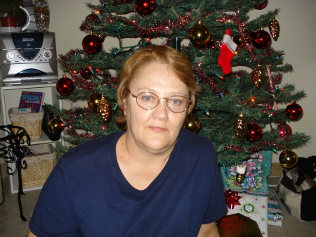 Sheryl Haller Photo 4