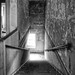 Stephen Hyde Photo 41