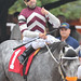 Joe Paddock Photo 34