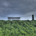 Mark Grass Photo 24