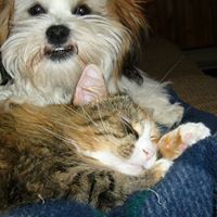 Joan Leavitt Photo 8