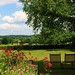 June England Photo 19