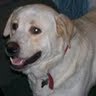 Christy Farr Photo 11
