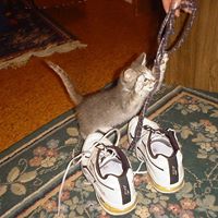 Larry Kemp Photo 6