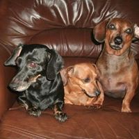 Brenda Mccomb Photo 1