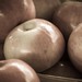 Ann Apple Photo 35