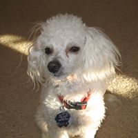 Gary Silvey Photo 4